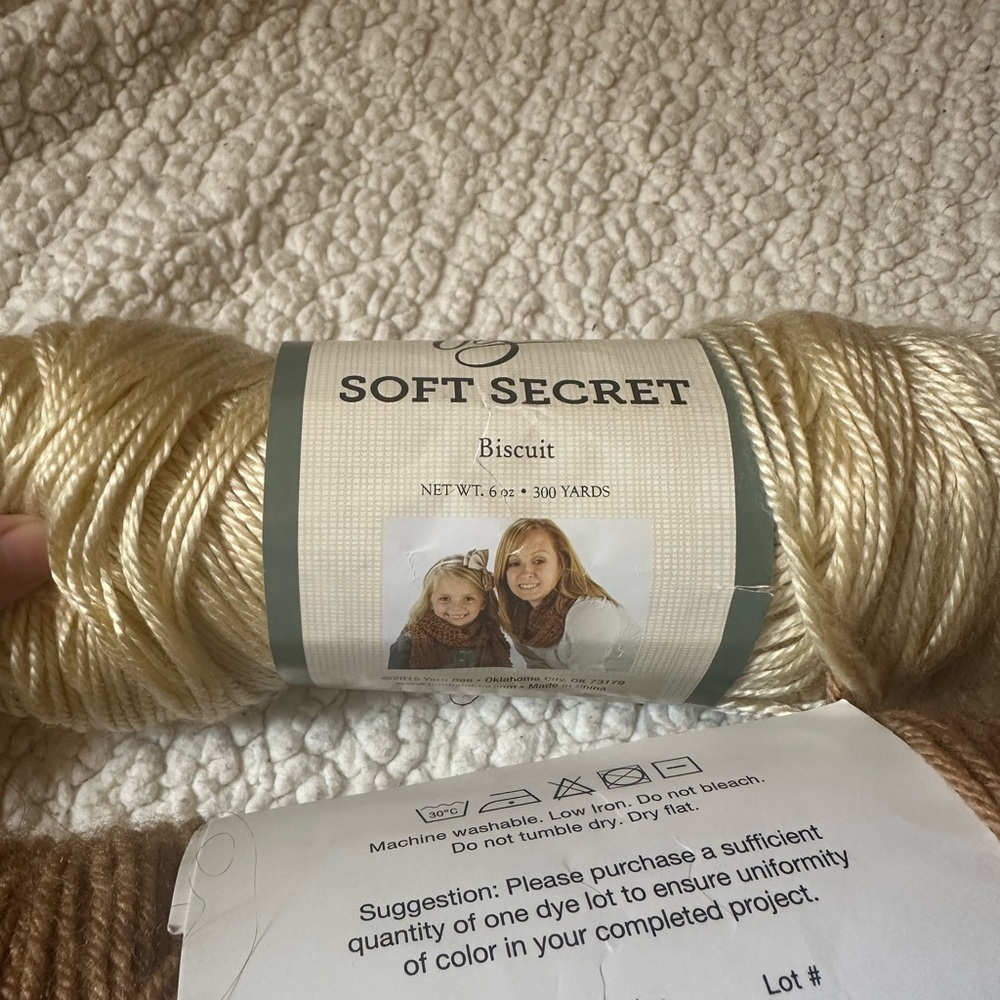 Big Twist, Lion Brand, and Yarn Bee Yarn Bundle - Picture 6 of 10